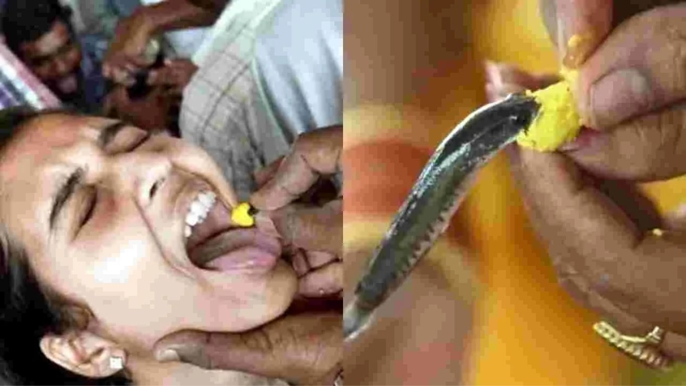 Fish Prasadam