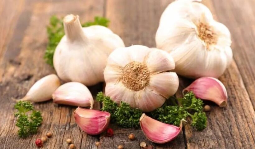 Garlic Benefits