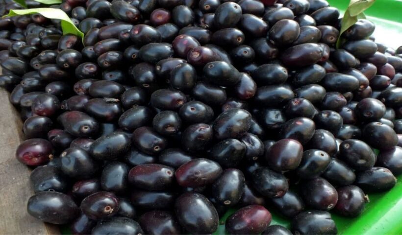 Health Benefits Of Jamun