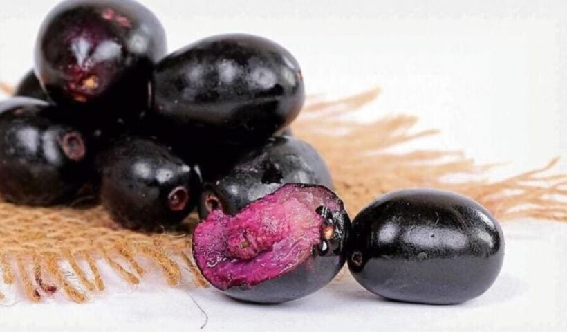 Jamun Health Benefit