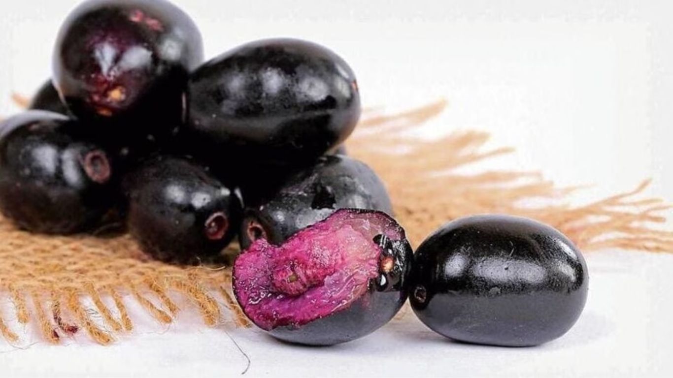 Jamun Health Benefit