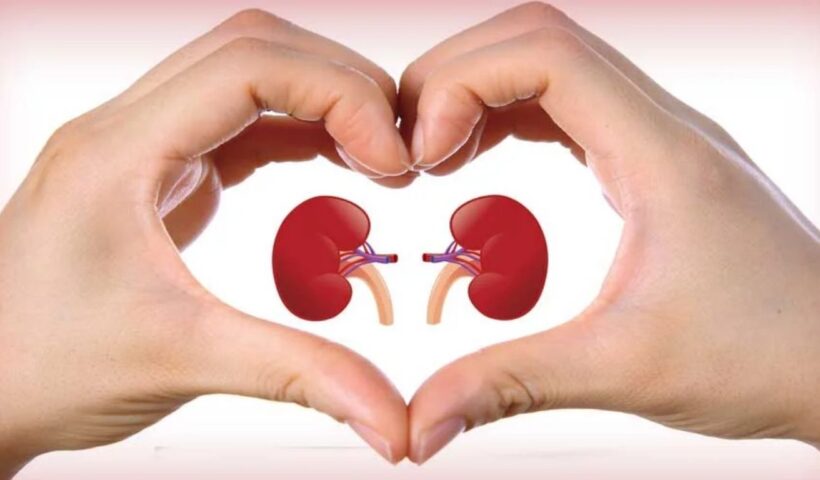 Kidney Health