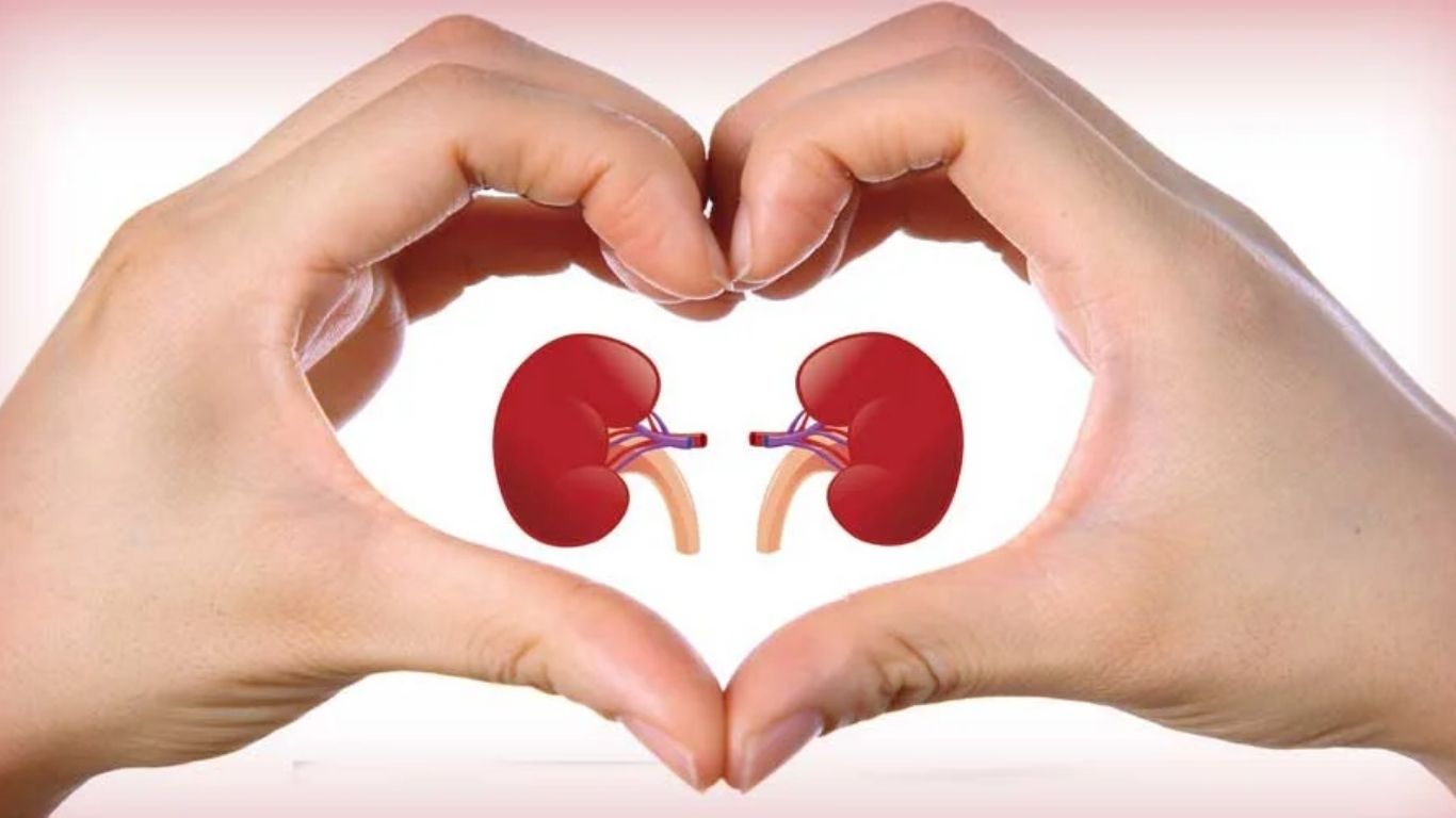 Kidney Health