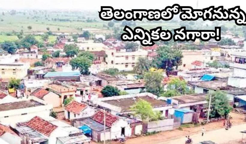 Telangana Local Body Elections: