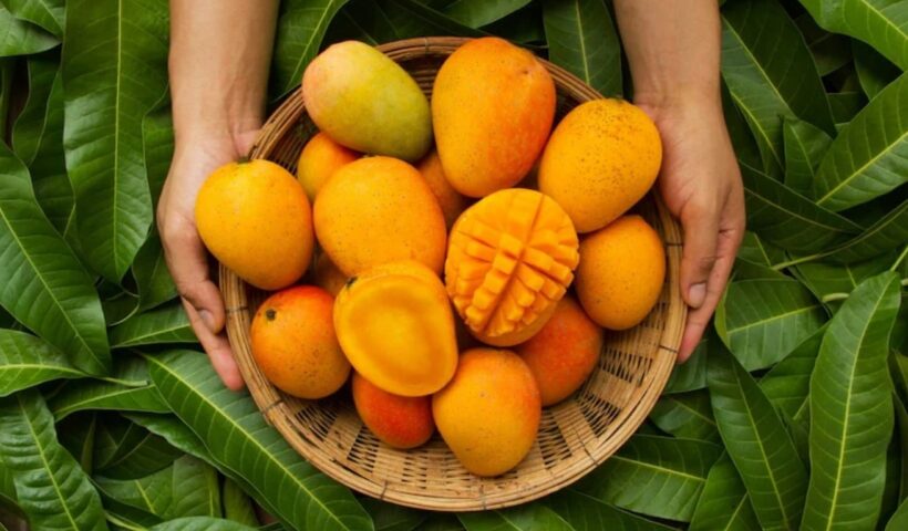 Mangoes