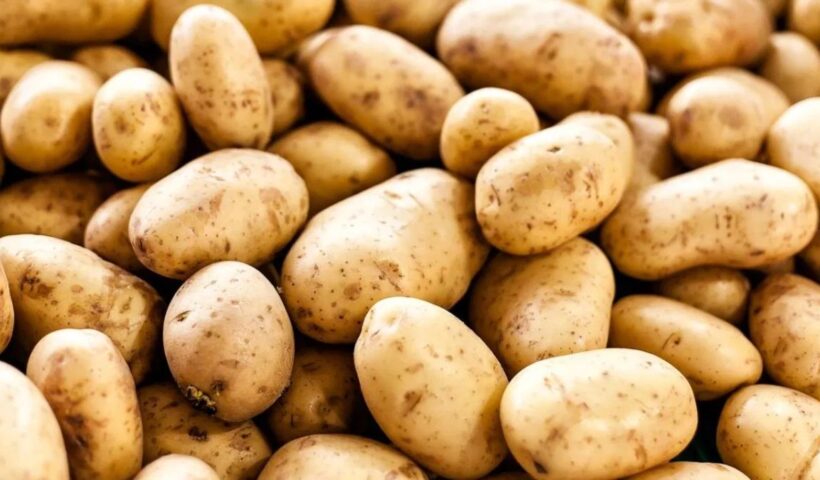 Potatoes