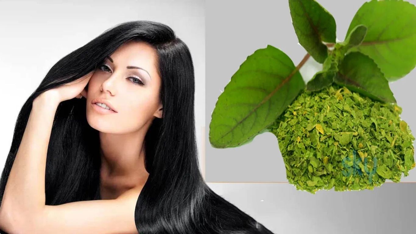 Tulsi For Hair