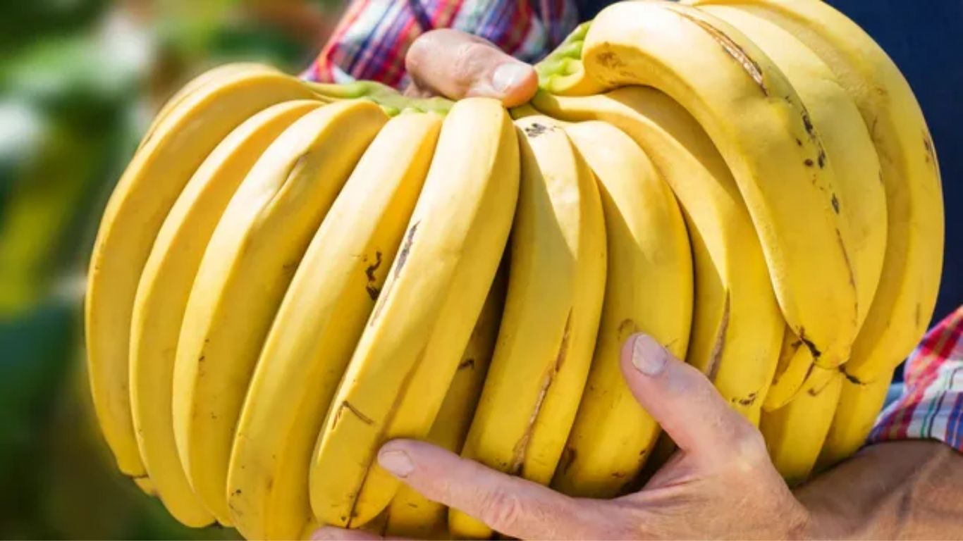 Banana