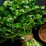 Coriander