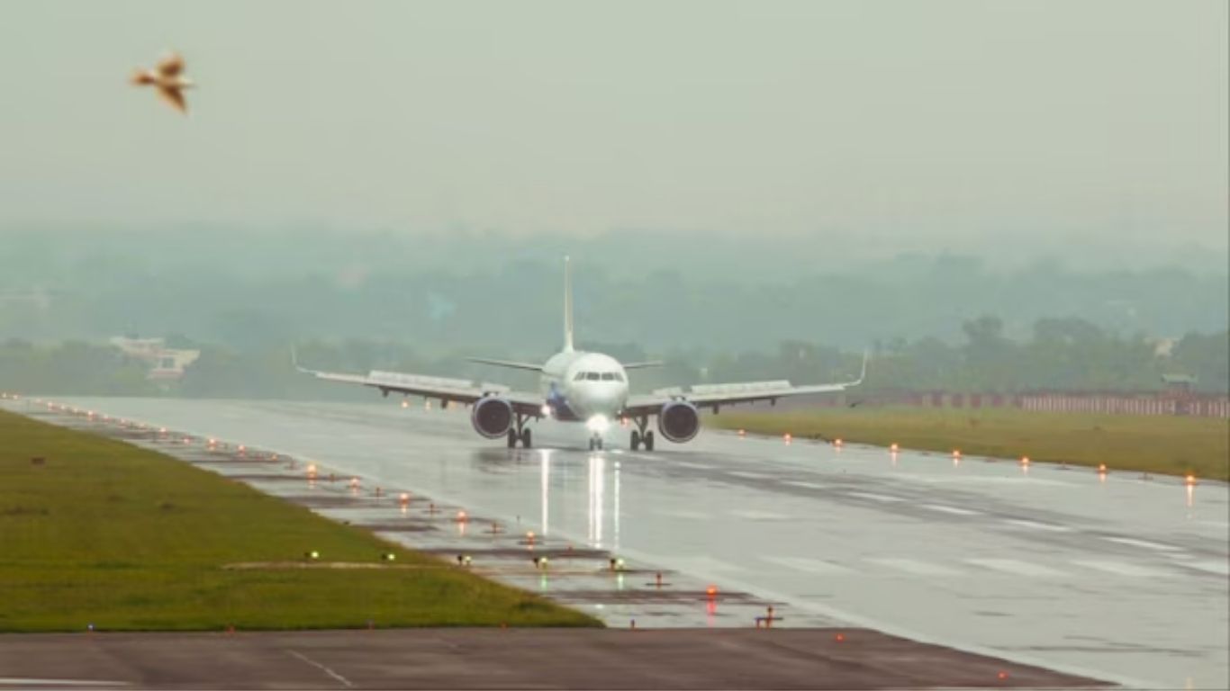 DGCA