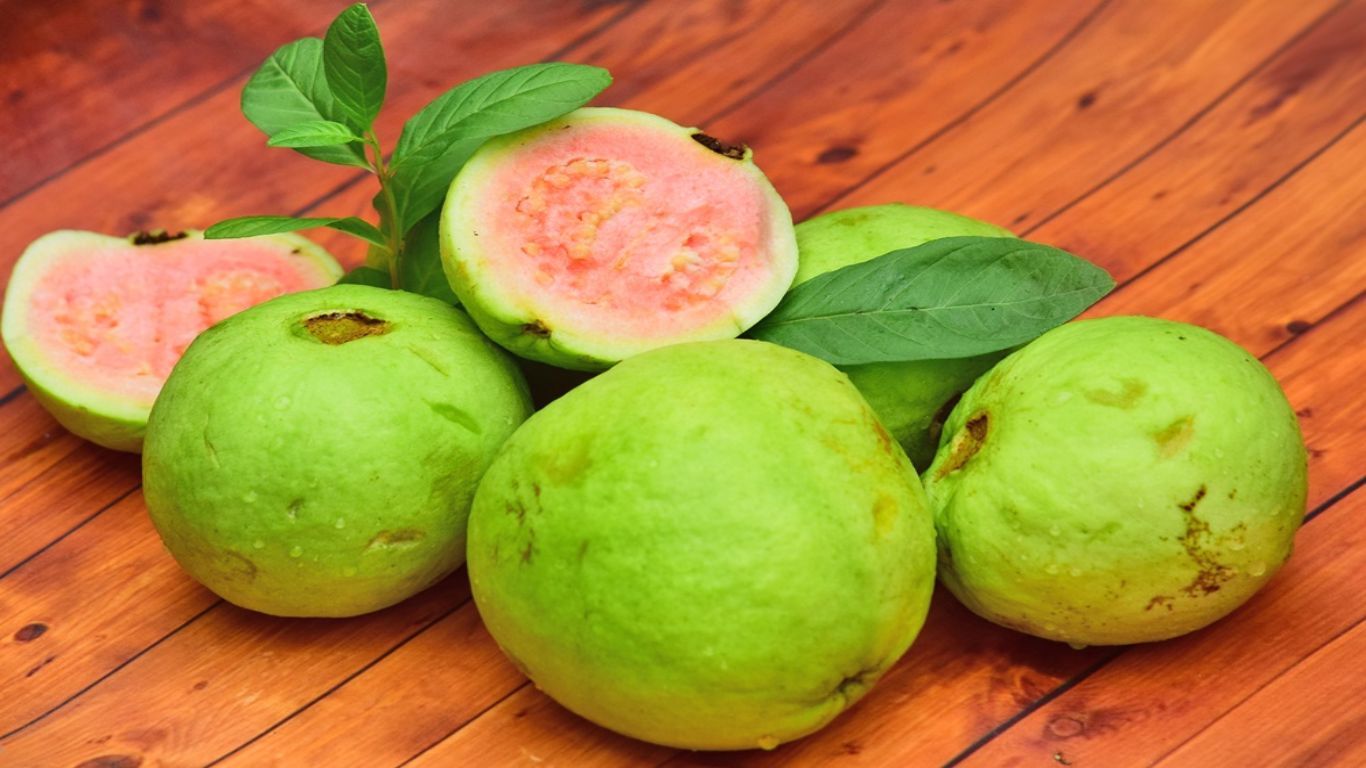 Guava Side Effects