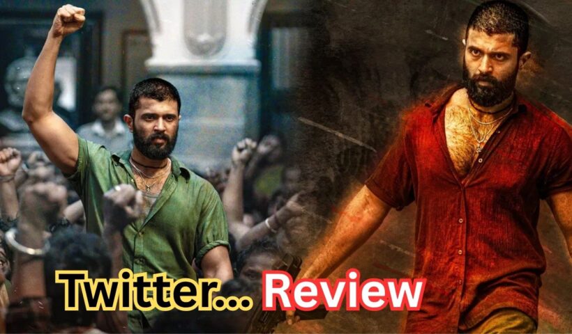 Kingdom Twitter Review