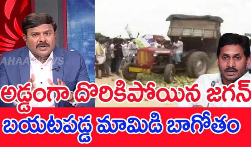 Mahaa Vamsi