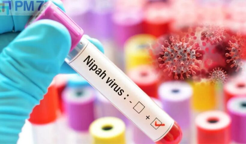 Nipah Virus