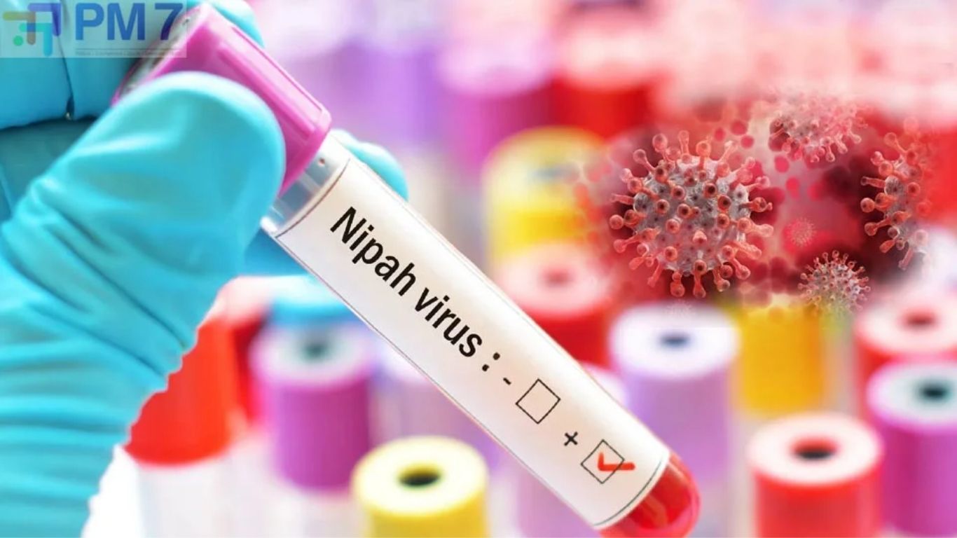 Nipah Virus