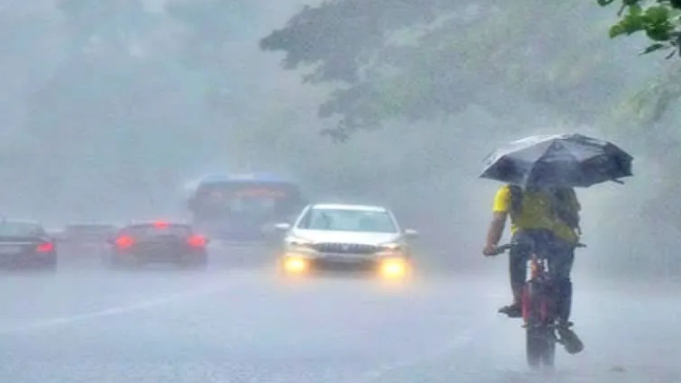 Rain Alert