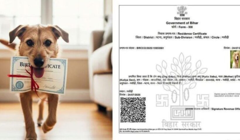 Residential Certificate