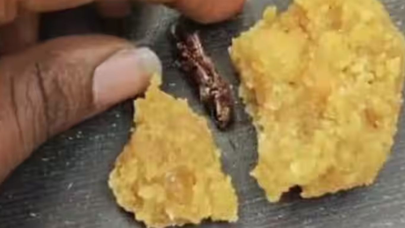 Srisailam Laddu Prasadam