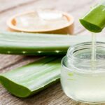 Aloe Vera Uses