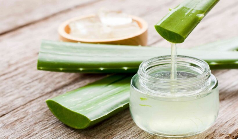 Aloe Vera Uses