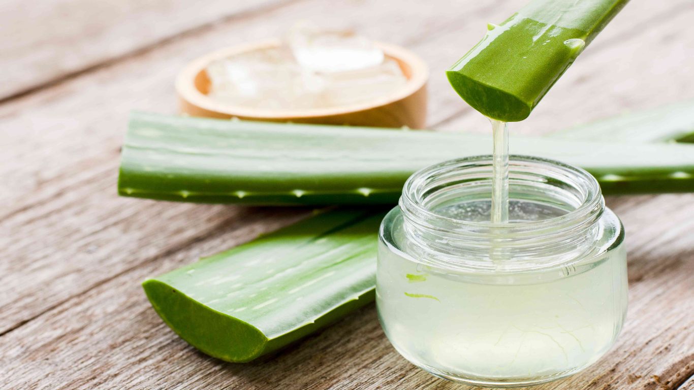 Aloe Vera Uses