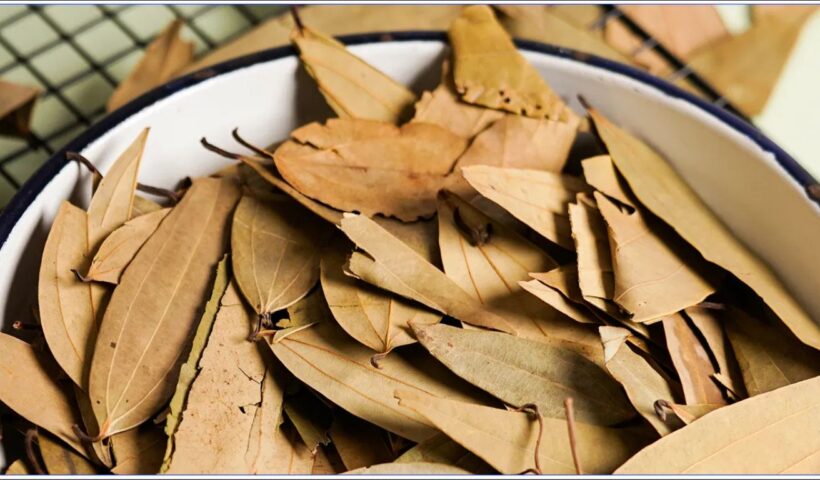 Bay Leaf Benefits