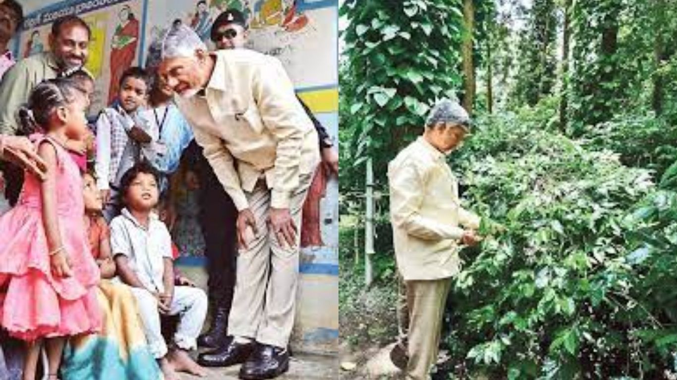 CM Chandrababu