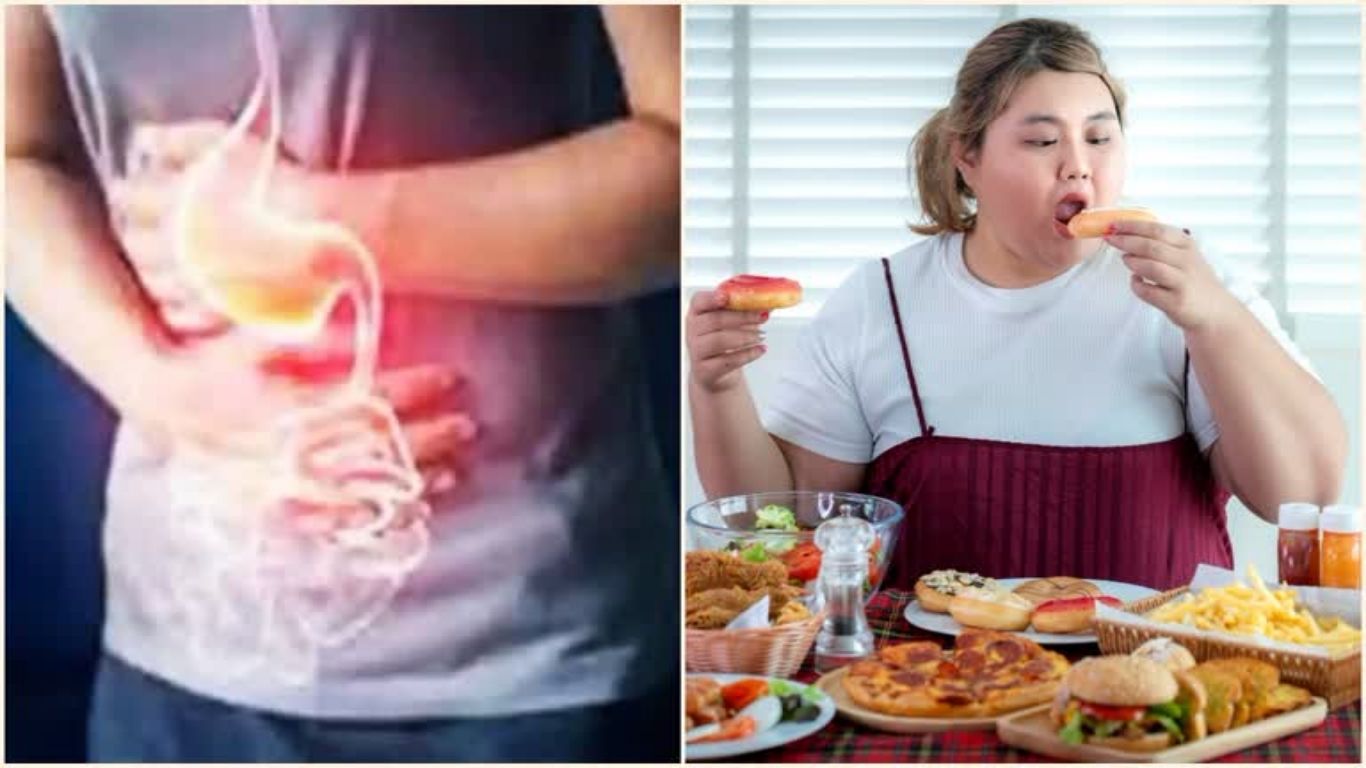 Digestion