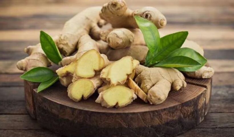 Ginger
