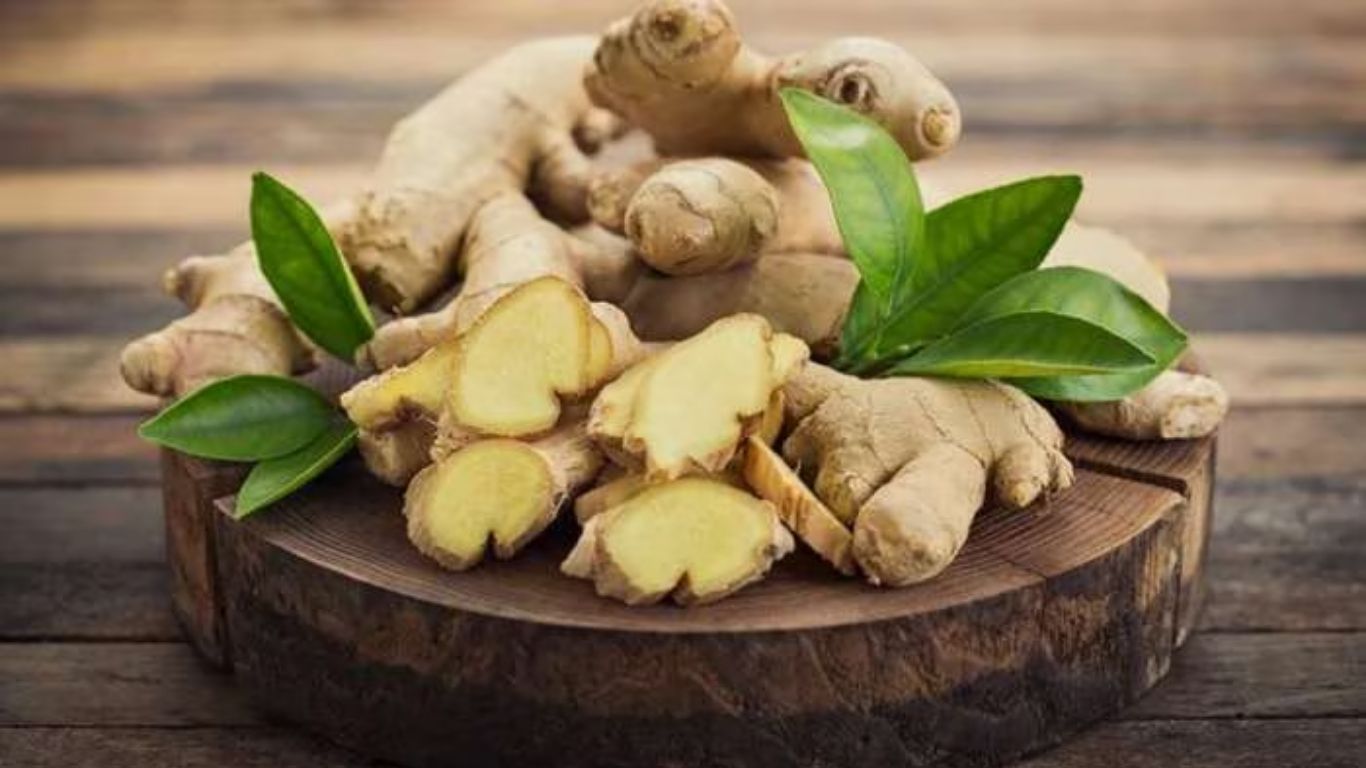 Ginger