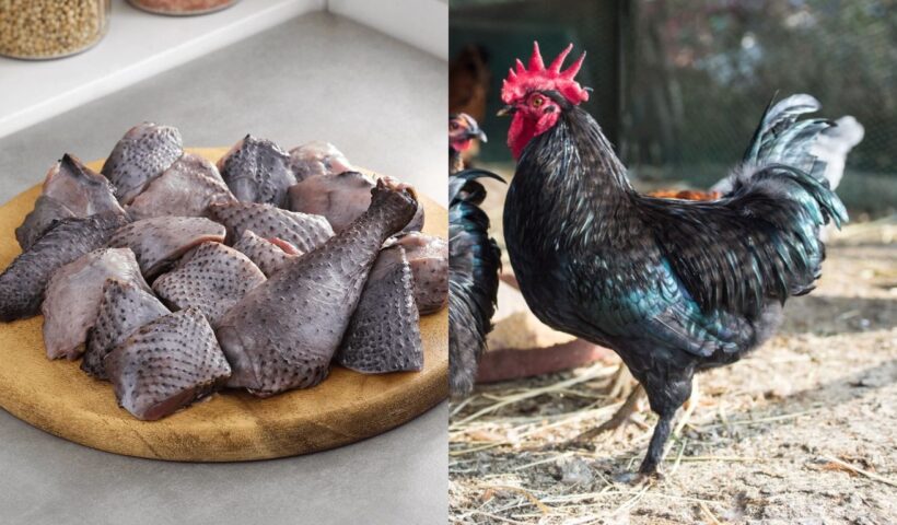 Kadaknath Chicken