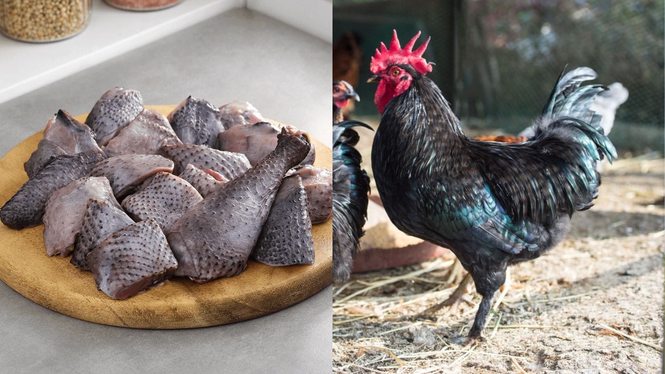 Kadaknath Chicken