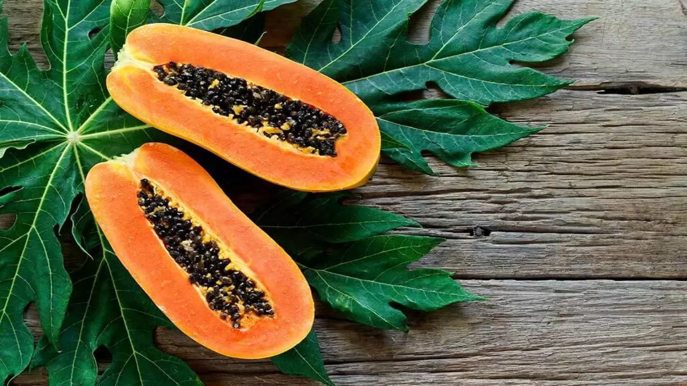 Papaya Leaves