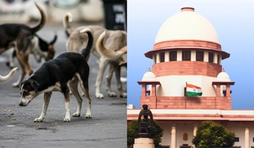 Supreme Court