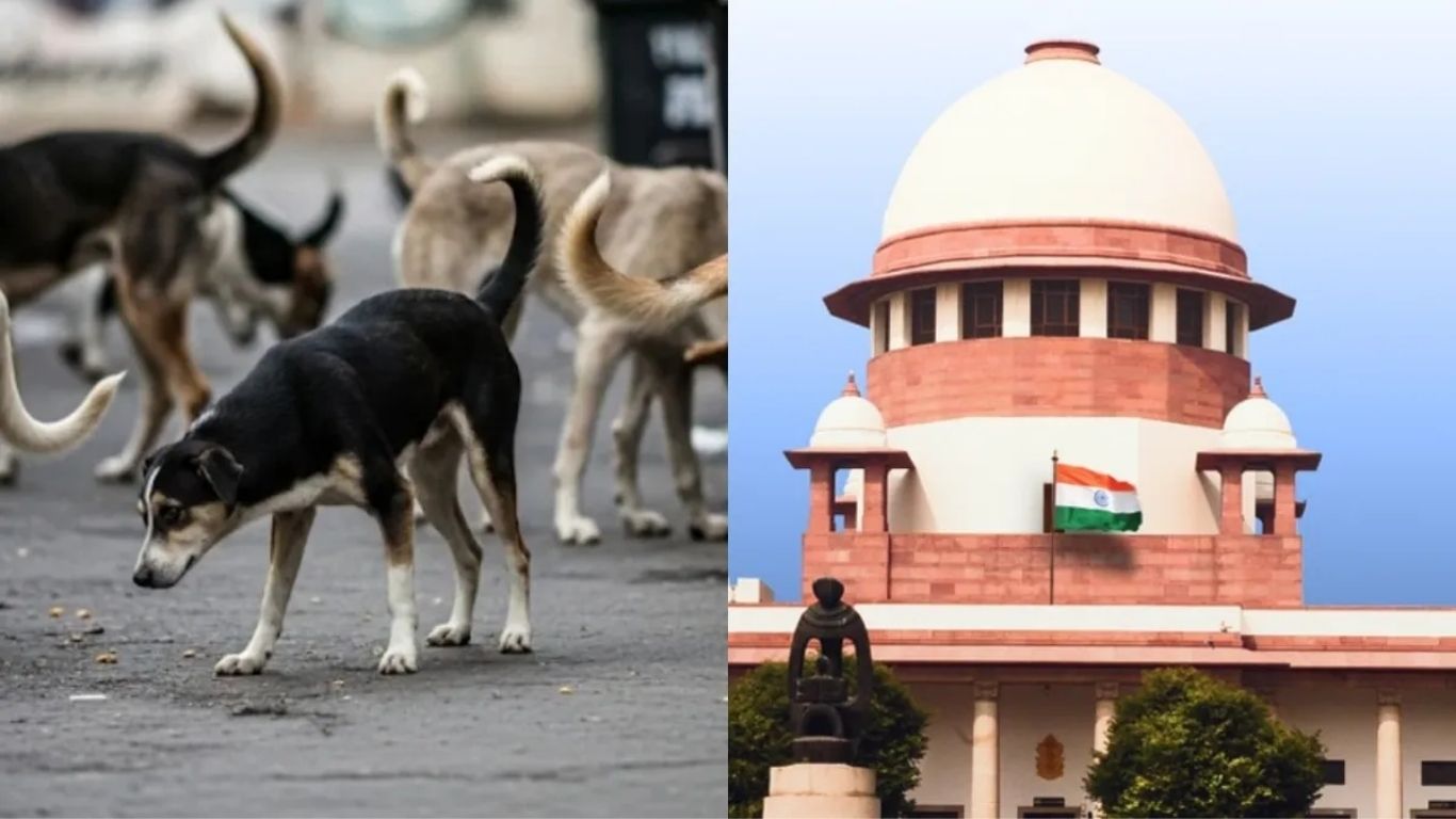 Supreme Court