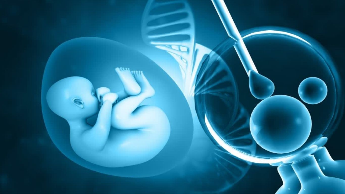 Surrogacy Racket
