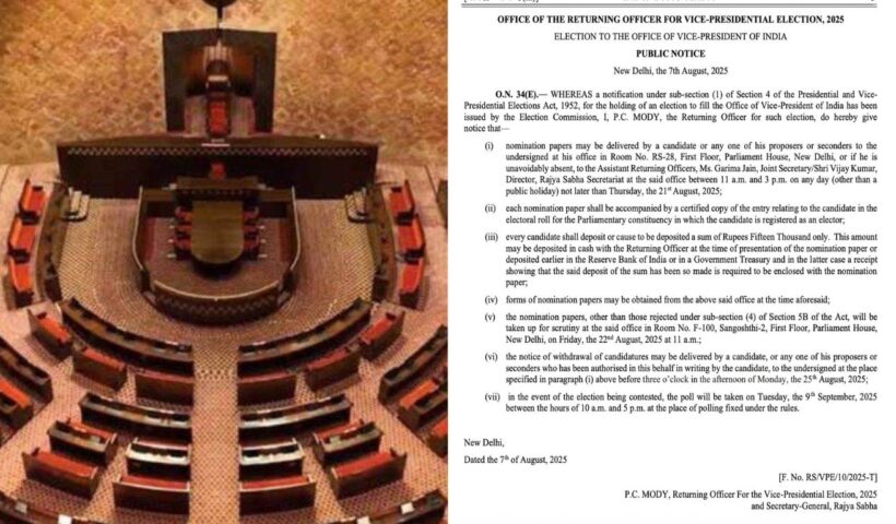 Vice President Election