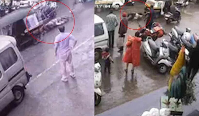 Woman Traffic Cop