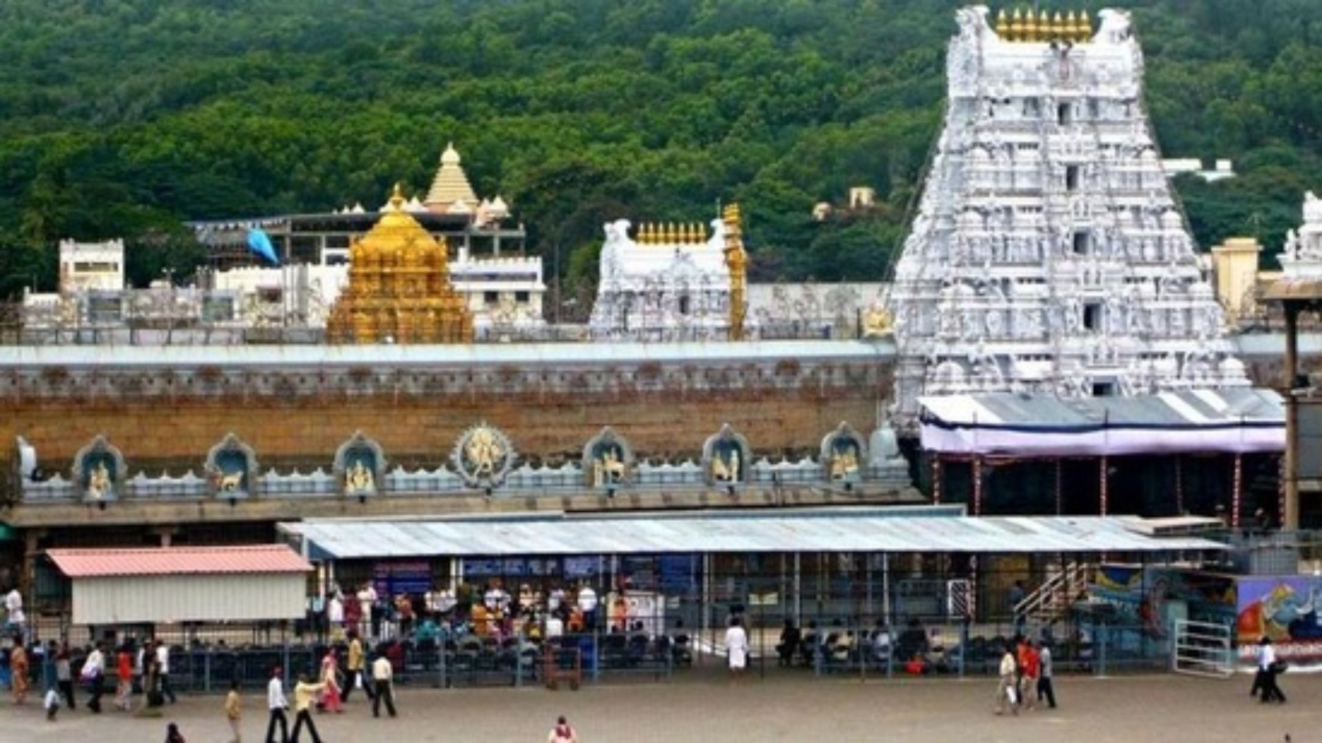 Tirumala News:
