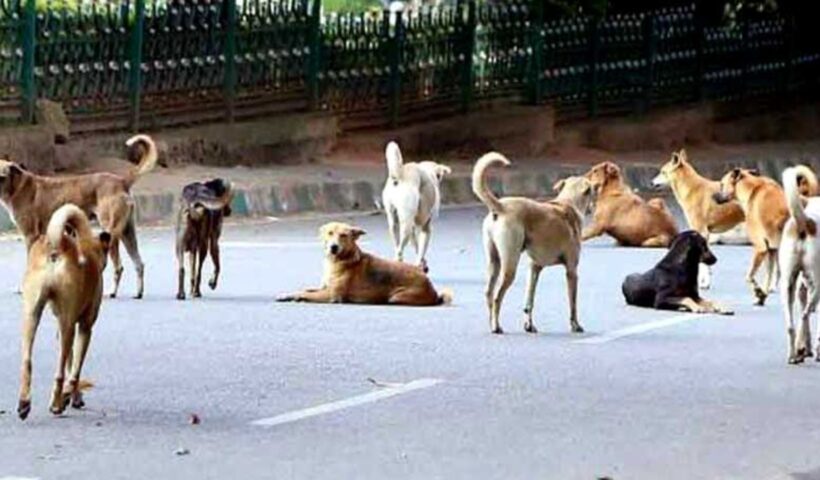 Supreme Court Of India: