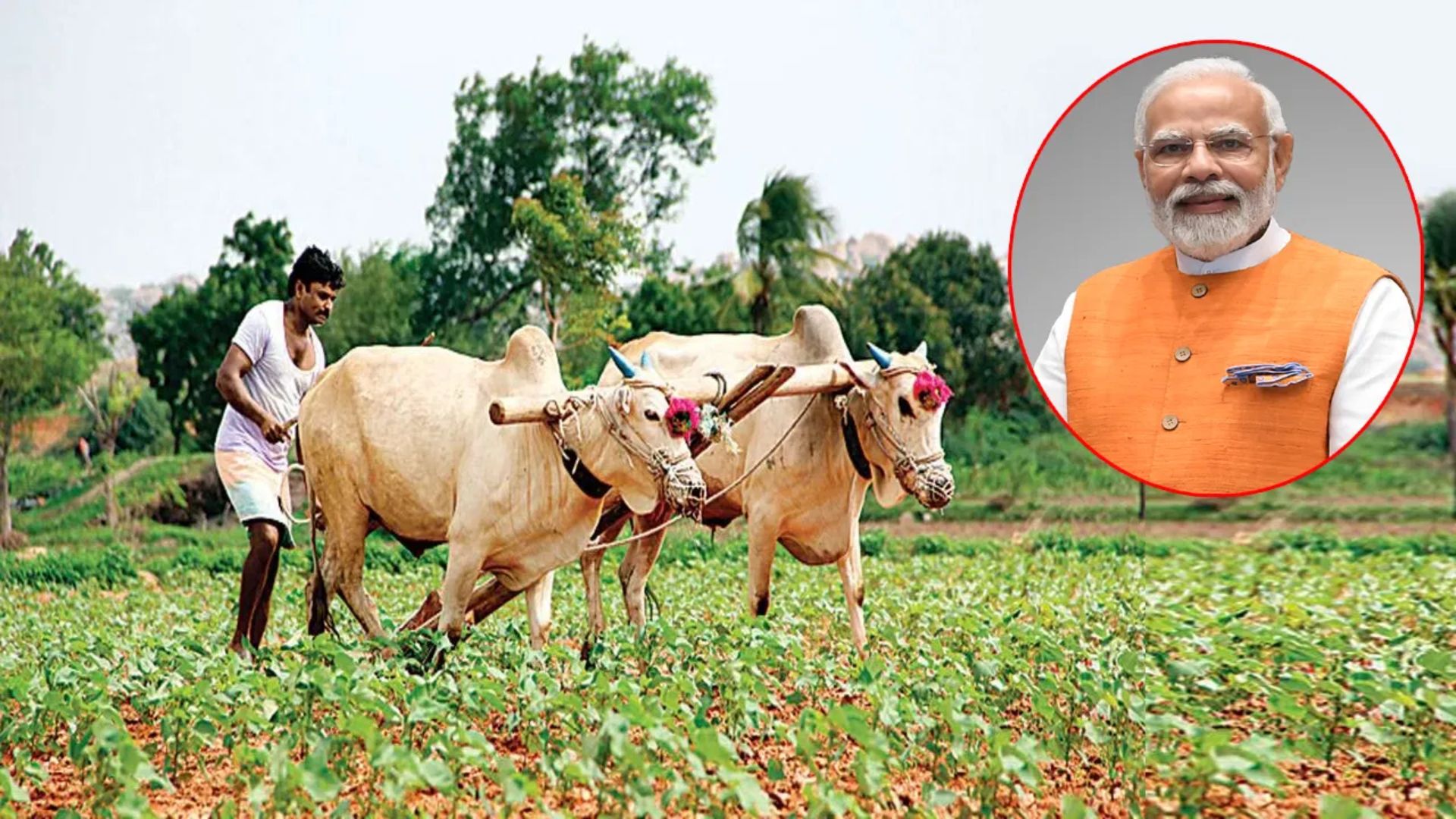 PM Kisan Mandan Yojana: