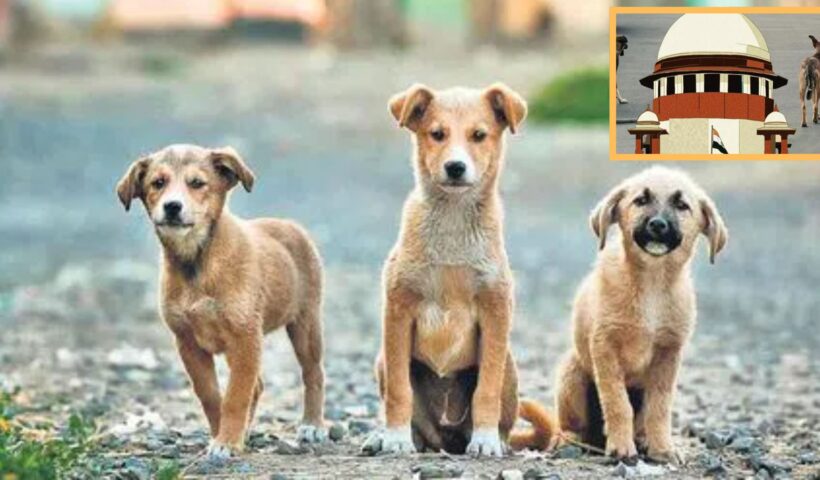 Supreme Court Of India: