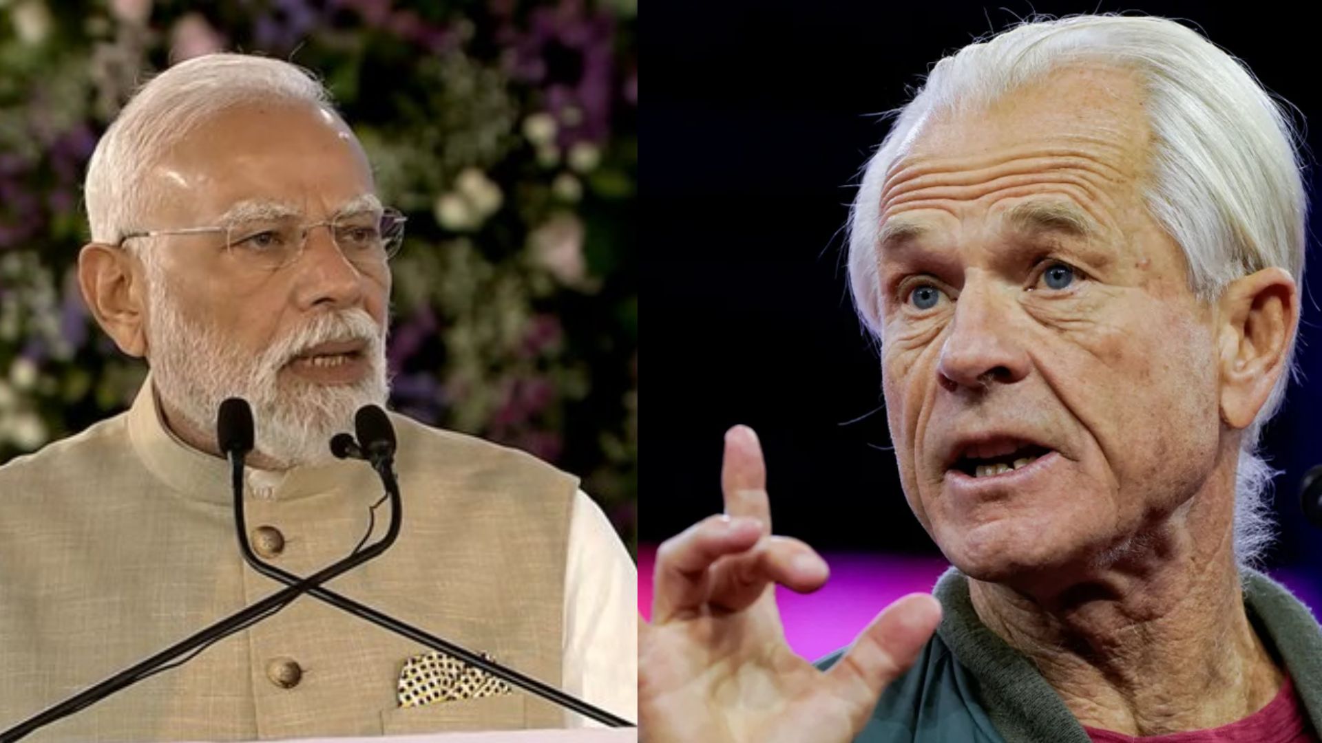 Peter Navarro: