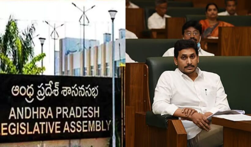 AP Assembly