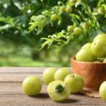 Amla For Hair