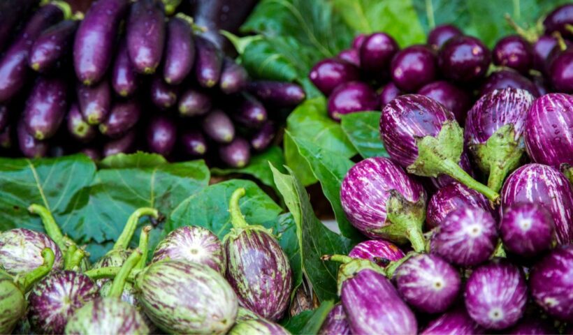 Brinjal Benefits