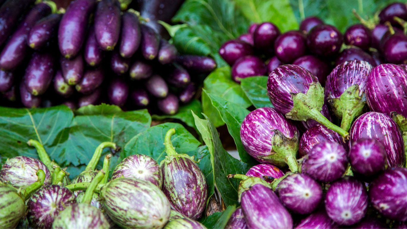 Brinjal Benefits