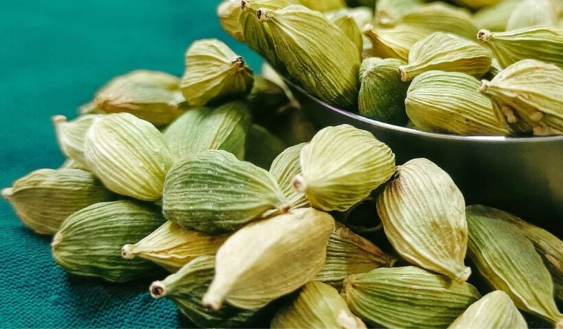 Cardamom Benefits