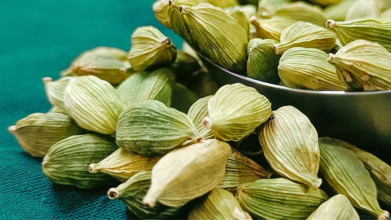 Cardamom Benefits