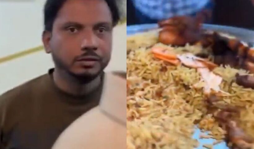 Cockroach In Mandi
